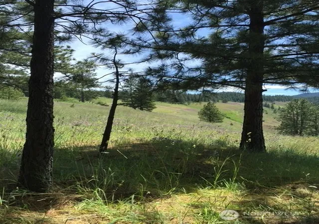 Photo 2 of Land for sale at 0 Bare Land, Waitsburg, WA 99361 | MLS# NWM2554624 | Listing updated on 2026-09-22
