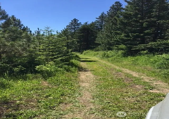 Photo 3 of Land for sale at 0 Bare Land, Waitsburg, WA 99361 | MLS# NWM2554624 | Listing updated on 2026-09-22