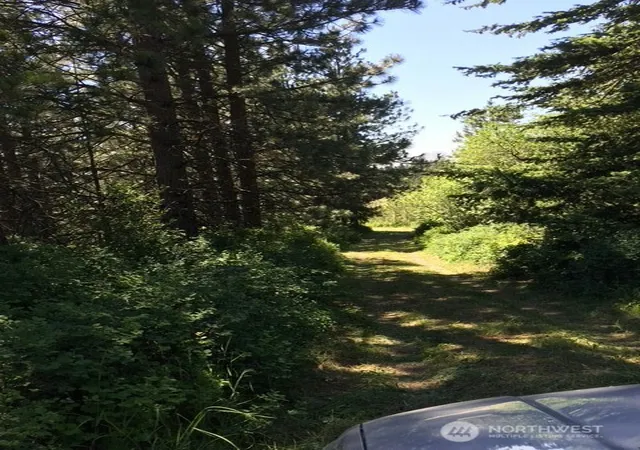 Photo 3 of Land for sale at 0 Bare Land, Waitsburg, WA 99361 | MLS# NWM2554624 | Listing updated on 2026-09-22