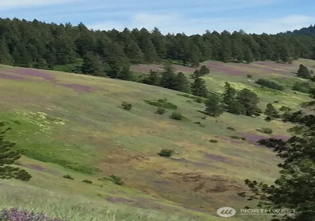 Photo 4 of Land for sale at 0 Bare Land, Waitsburg, WA 99361 | MLS# NWM2554624 | Listing updated on 2026-09-22