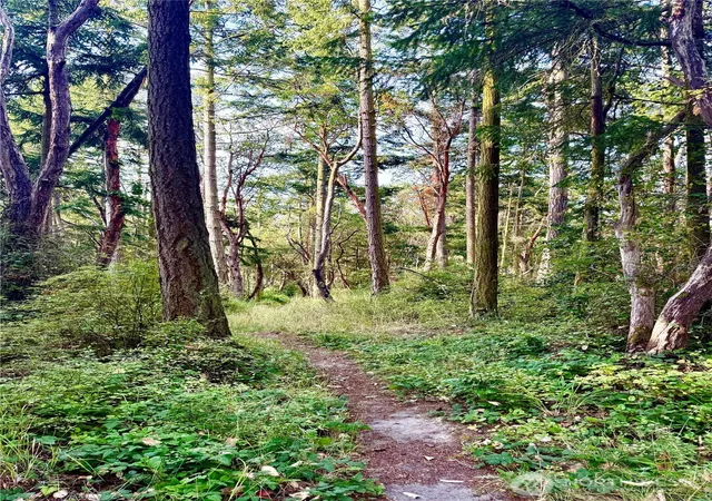 Photo 1 of Land for sale at 999 Hancock St, Port Townsend, WA 98368 | MLS# NWM2554666 | Listing updated on 2026-09-22