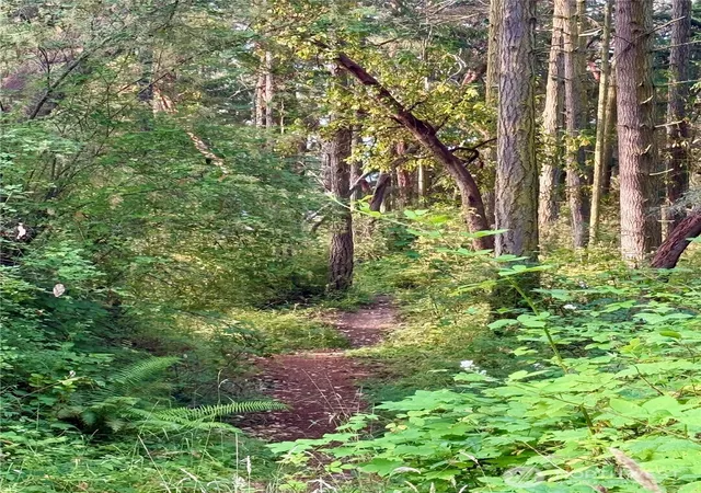 Photo 3 of Land for sale at 999 Hancock St, Port Townsend, WA 98368 | MLS# NWM2554666 | Listing updated on 2026-09-22