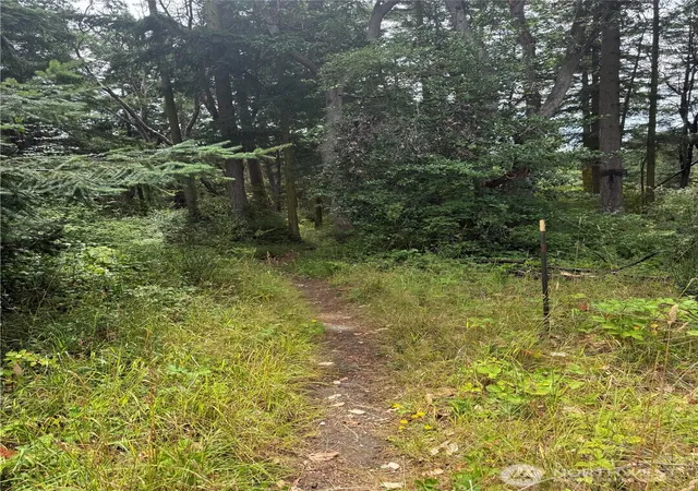Photo 4 of Land for sale at 999 Hancock St, Port Townsend, WA 98368 | MLS# NWM2554666 | Listing updated on 2026-09-22