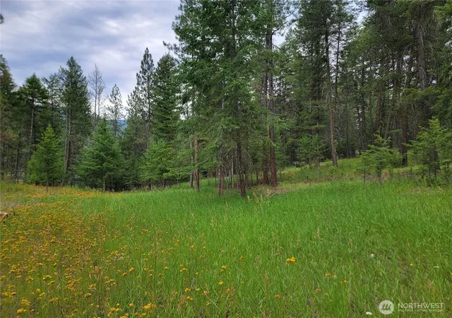 Photo 1 of Land for sale at 40 Evergreen Dr, Curlew, WA 99118 | MLS# NWM2554780 | Listing updated on 2026-09-22