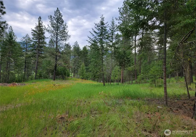 Photo 2 of Land for sale at 40 Evergreen Dr, Curlew, WA 99118 | MLS# NWM2554780 | Listing updated on 2026-09-22