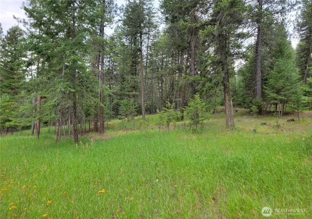 Photo 3 of Land for sale at 40 Evergreen Dr, Curlew, WA 99118 | MLS# NWM2554780 | Listing updated on 2026-09-22