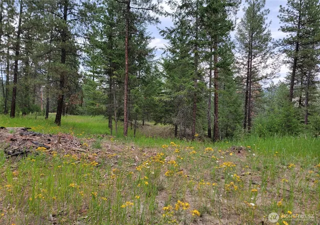 Photo 3 of Land for sale at 40 Evergreen Dr, Curlew, WA 99118 | MLS# NWM2554780 | Listing updated on 2026-09-22