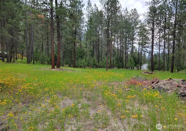 Photo 4 of Land for sale at 40 Evergreen Dr, Curlew, WA 99118 | MLS# NWM2554780 | Listing updated on 2026-09-22