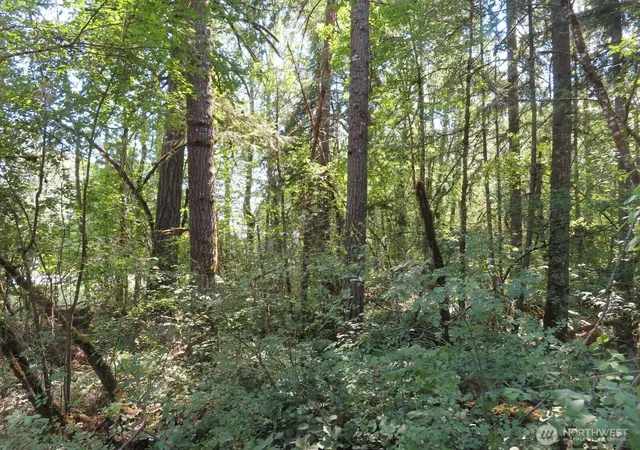 Photo 1 of Land for sale at 115 Campground Ln, Winlock, WA 98596 | MLS# NWM2555293 | Listing updated on 2026-09-22