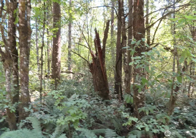 Photo 2 of Land for sale at 115 Campground Ln, Winlock, WA 98596 | MLS# NWM2555293 | Listing updated on 2026-09-22