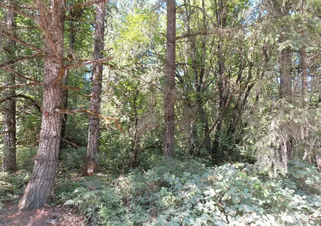 Photo 3 of Land for sale at 115 Campground Ln, Winlock, WA 98596 | MLS# NWM2555293 | Listing updated on 2026-09-22