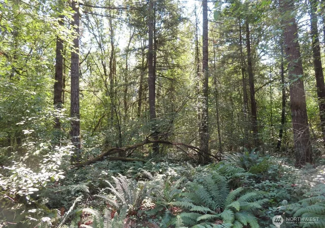 Photo 3 of Land for sale at 115 Campground Ln, Winlock, WA 98596 | MLS# NWM2555293 | Listing updated on 2026-09-22