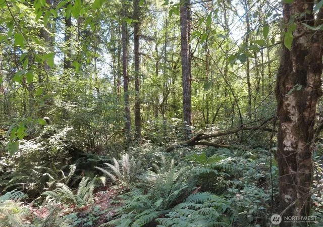Photo 4 of Land for sale at 115 Campground Ln, Winlock, WA 98596 | MLS# NWM2555293 | Listing updated on 2026-09-22