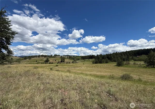 Photo 1 of Sale Pending at 42 Tedesco Rd, Republic, WA 99166 | MLS# NWM2555354 | Listing updated on 2026-09-21