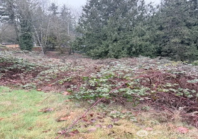 Photo 3 of Land for sale at 14708 Se 145th Place, Renton, WA 98059 | MLS# NWM2555649 | Listing updated on 2026-09-22