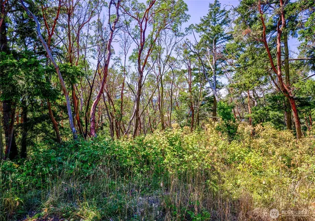 Photo 4 of Land for sale at 1025 Maple St, Port Townsend, WA 98368 | MLS# NWM2555710 | Listing updated on 2026-09-22