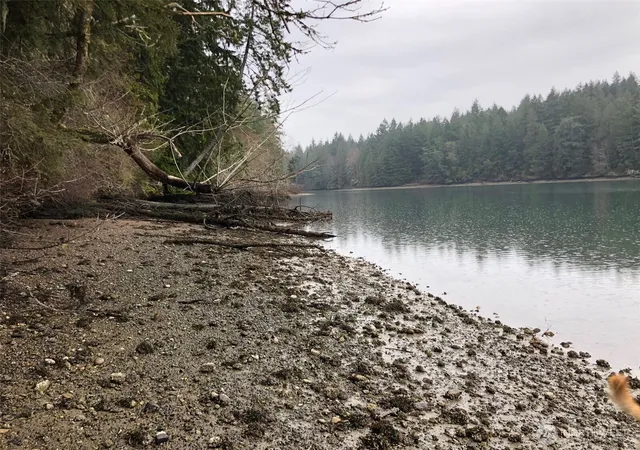 Photo 3 of Land for sale at 4101 161st Avenue SW, Longbranch, WA 98351 | MLS# NWM2555736 | Listing updated on 2026-09-22