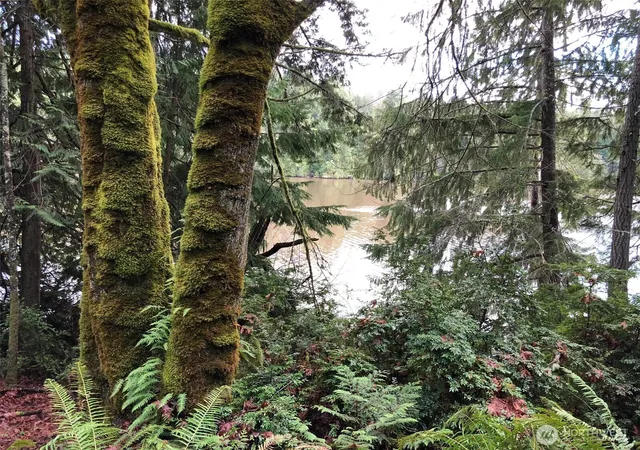Photo 4 of Land for sale at 4101 161st Avenue SW, Longbranch, WA 98351 | MLS# NWM2555736 | Listing updated on 2026-09-22
