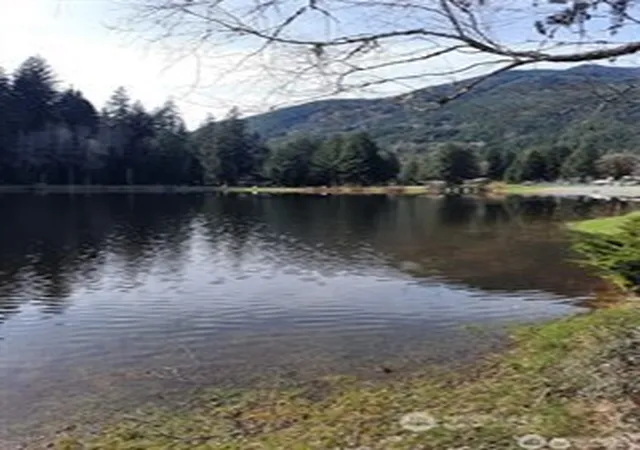Photo 3 of Land for sale at 44832 Kloshe Chuck Trl, Concrete, WA 98237 | MLS# NWM2555773 | Listing updated on 2026-09-22