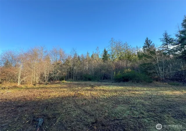 Photo 3 of Land for sale at 0 Nka N Bagley Creek Rd, Port Angeles, WA 98362 | MLS# NWM2555927 | Listing updated on 2026-09-22