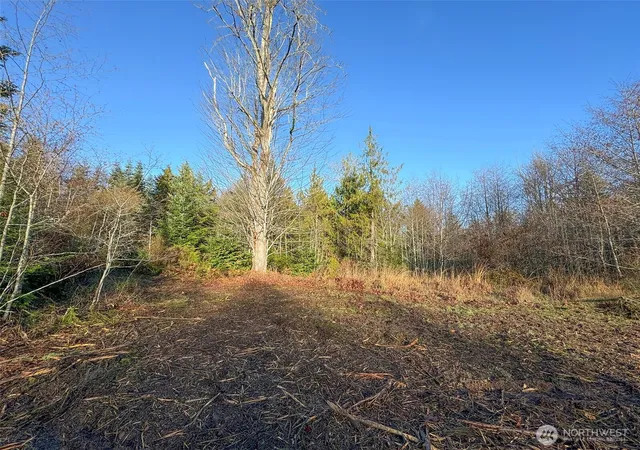 Photo 3 of Land for sale at 0 Nka N Bagley Creek Rd, Port Angeles, WA 98362 | MLS# NWM2555927 | Listing updated on 2026-09-22