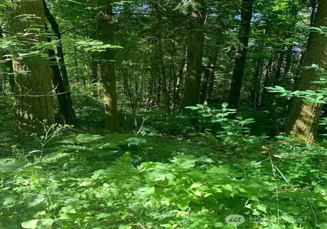 Photo 2 of Land for sale at 24829 Se Mirrormont Blvd, Issaquah, WA 98027 | MLS# NWM2556007 | Listing updated on 2026-09-22