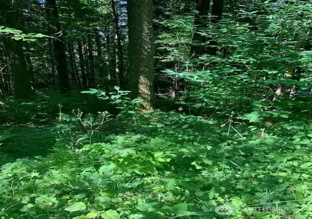 Photo 3 of Land for sale at 24829 SE Mirrormont Blvd, Issaquah, WA 98027 | MLS# NWM2556007 | Listing updated on 2026-09-22
