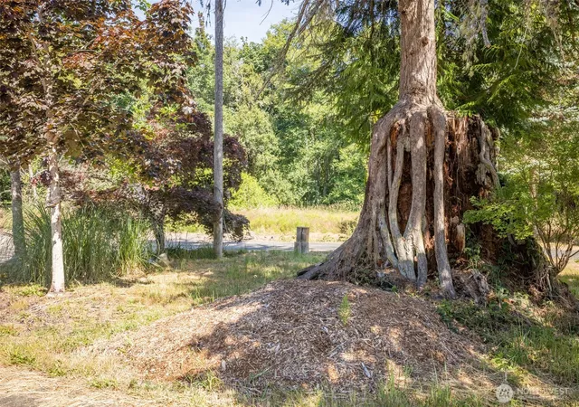 Photo 3 of Land for sale at 92 Gossett Rd, Port Angeles, WA 98363 | MLS# NWM2556036 | Listing updated on 2026-10-01