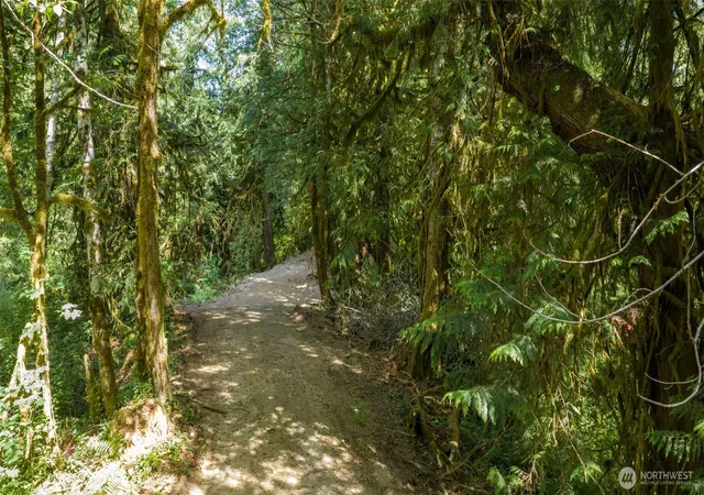 Photo 2 of Land for sale at 0 N Robinson Rd, Lilliwaup, WA 98555 | MLS# NWM2556076 | Listing updated on 2026-09-23
