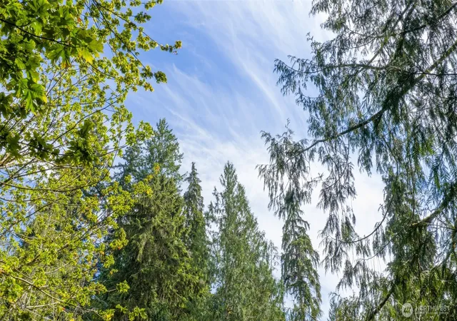 Photo 3 of Land for sale at 0 N Robinson Rd, Lilliwaup, WA 98555 | MLS# NWM2556076 | Listing updated on 2026-09-23