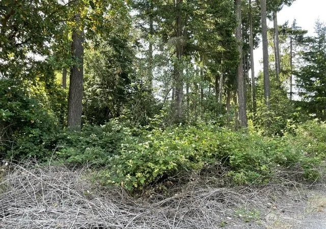 Photo 3 of Sale Pending at 0 Lots A D Rest Pl Ne, Bremerton, WA 98311 | MLS# NWM2556294 | Listing updated on 2026-07-19