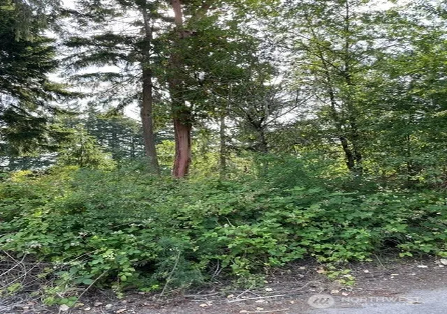 Photo 3 of Sale Pending at 0 Lots A-d Rest Pl NE, Bremerton, WA 98311 | MLS# NWM2556294 | Listing updated on 2026-07-19