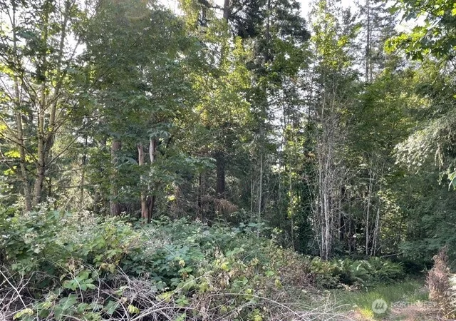 Photo 4 of Sale Pending at 0 Lots A-d Rest Pl NE, Bremerton, WA 98311 | MLS# NWM2556294 | Listing updated on 2026-07-19
