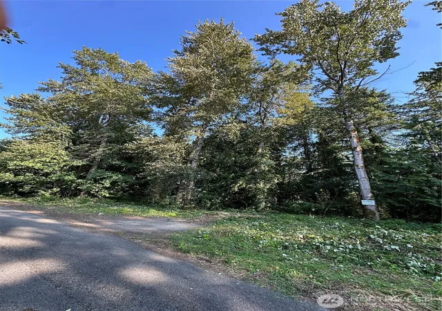 Photo 3 of Land for sale at 131 Se Xx 312th St, Auburn, WA 98092 | MLS# NWM2556331 | Listing updated on 2026-09-22