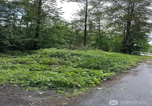 Photo 3 of Land for sale at 131 SE Xx 312th St, Auburn, WA 98092 | MLS# NWM2556331 | Listing updated on 2026-09-22