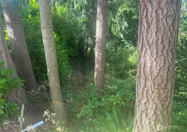Photo 3 of Land for sale at 0 Lake Dr, Camano Island, WA 98282 | MLS# NWM2556375 | Listing updated on 2026-09-22