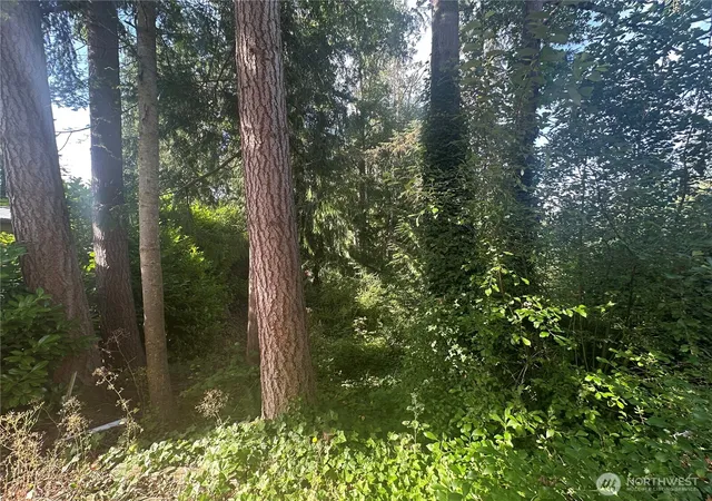 Photo 4 of Land for sale at 0 Lake Dr, Camano Island, WA 98282 | MLS# NWM2556375 | Listing updated on 2026-09-22