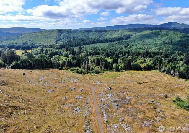 Photo 1 of Land for sale at 0 Nka N River Rd, Cosmopolis, WA 98537 | MLS# NWM2556581 | Listing updated on 2026-09-22