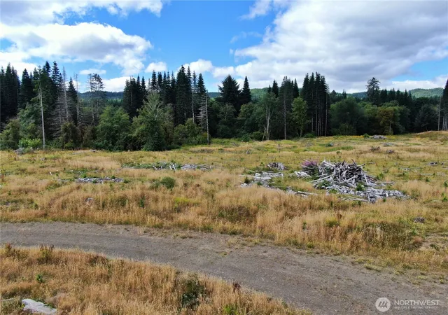 Photo 2 of Land for sale at 0 Nka N River Rd, Cosmopolis, WA 98537 | MLS# NWM2556581 | Listing updated on 2026-09-22