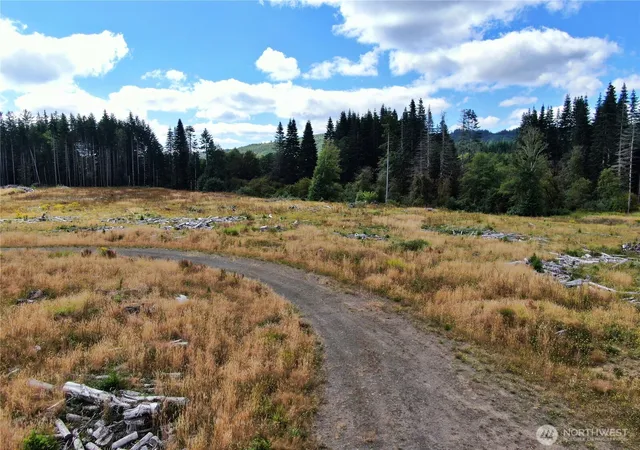 Photo 3 of Land for sale at 0 Nka N River Rd, Cosmopolis, WA 98537 | MLS# NWM2556581 | Listing updated on 2026-09-22