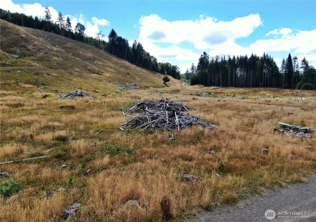 Photo 3 of Land for sale at 0 Nka N River Rd, Cosmopolis, WA 98537 | MLS# NWM2556581 | Listing updated on 2026-09-22