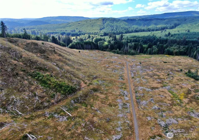 Photo 4 of Land for sale at 0 Nka N River Rd, Cosmopolis, WA 98537 | MLS# NWM2556581 | Listing updated on 2026-09-22