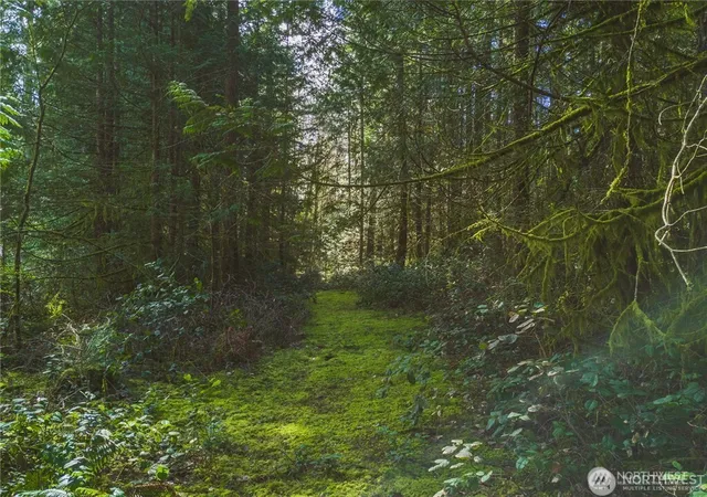 Photo 1 of Land for sale at 0 Sw County Line Rd, Port Orchard, WA 98367 | MLS# NWM2556617 | Listing updated on 2026-09-22
