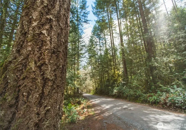 Photo 3 of Land for sale at 0 Sw County Line Rd, Port Orchard, WA 98367 | MLS# NWM2556617 | Listing updated on 2026-09-22