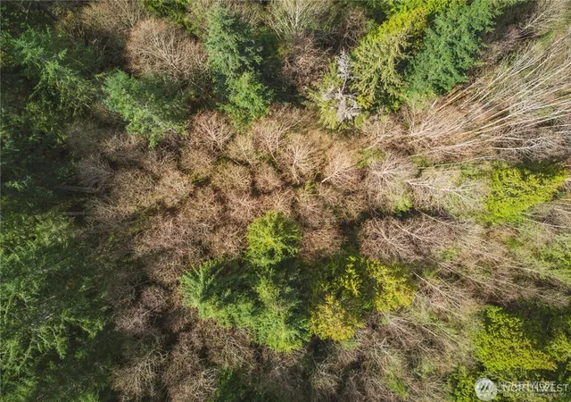 Photo 4 of Land for sale at 0 SW County Line Rd, Port Orchard, WA 98367 | MLS# NWM2556617 | Listing updated on 2026-09-22