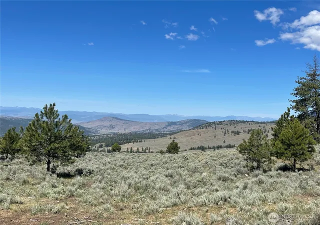 Photo 1 of Land for sale at 234 One Sky View Dr, Tonasket, WA 98855 | MLS# NWM2556641 | Listing updated on 2026-09-22