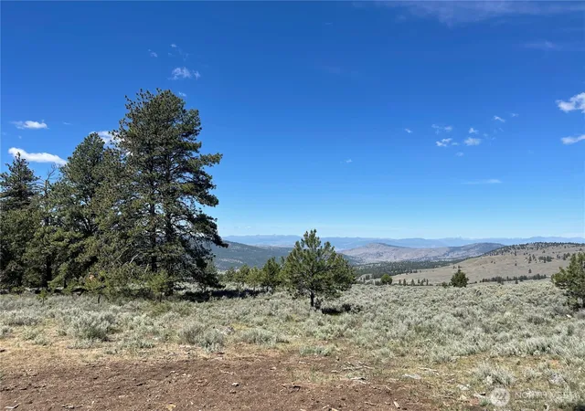 Photo 2 of Land for sale at 234 One Sky View Dr, Tonasket, WA 98855 | MLS# NWM2556641 | Listing updated on 2026-09-22