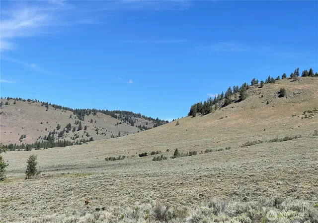 Photo 3 of Land for sale at 234 One Sky View Dr, Tonasket, WA 98855 | MLS# NWM2556641 | Listing updated on 2026-09-22