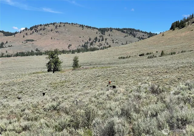 Photo 3 of Land for sale at 234 One Sky View Dr, Tonasket, WA 98855 | MLS# NWM2556641 | Listing updated on 2026-09-22