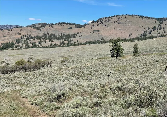 Photo 4 of Land for sale at 234 One Sky View Dr, Tonasket, WA 98855 | MLS# NWM2556641 | Listing updated on 2026-09-22